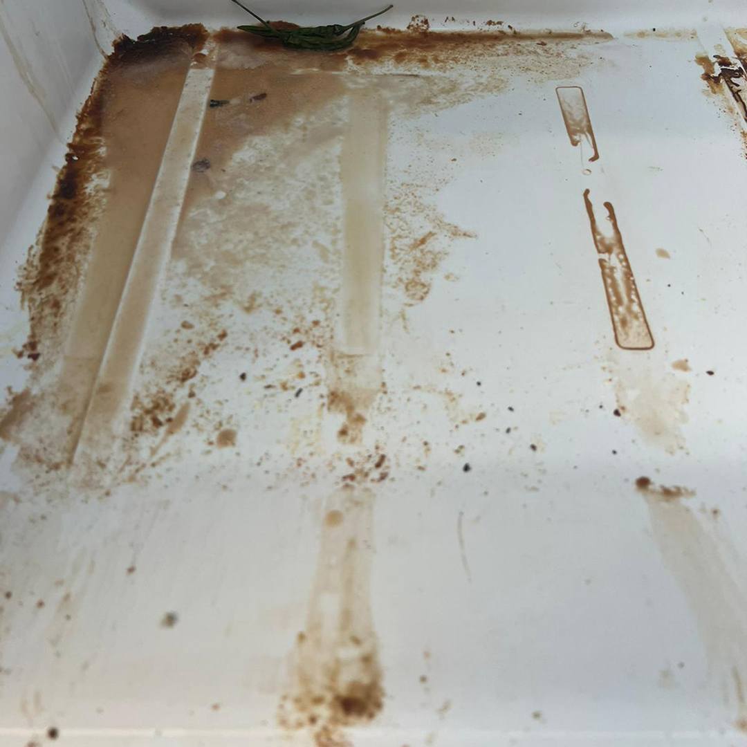 Student Accommodation Cleaning Services Gipsy Hill SE19